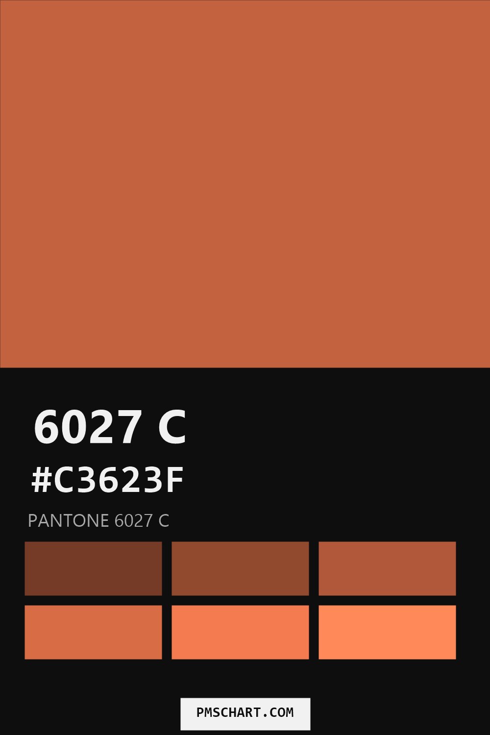 Pantone 6027 C color reference card (HEX #C3623F) with six nearest Pantone matches
