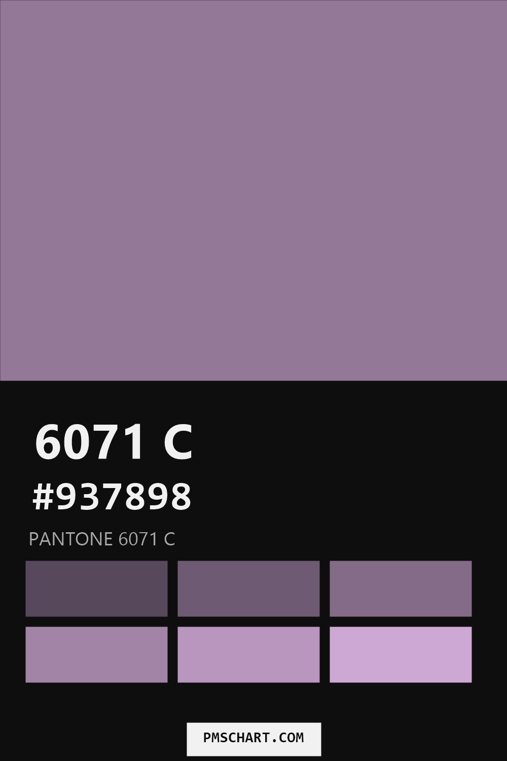 Pantone 6071 C color reference card (HEX #937898) with six nearest Pantone matches