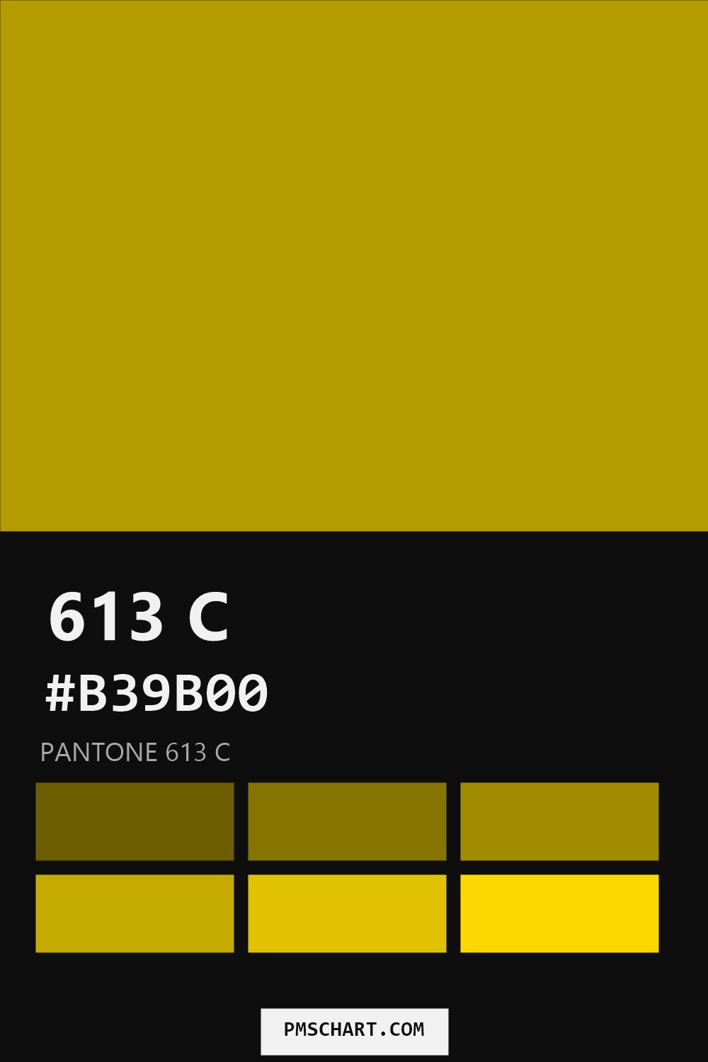 Pantone 613 C color reference card (HEX #B39B00) with six nearest Pantone matches