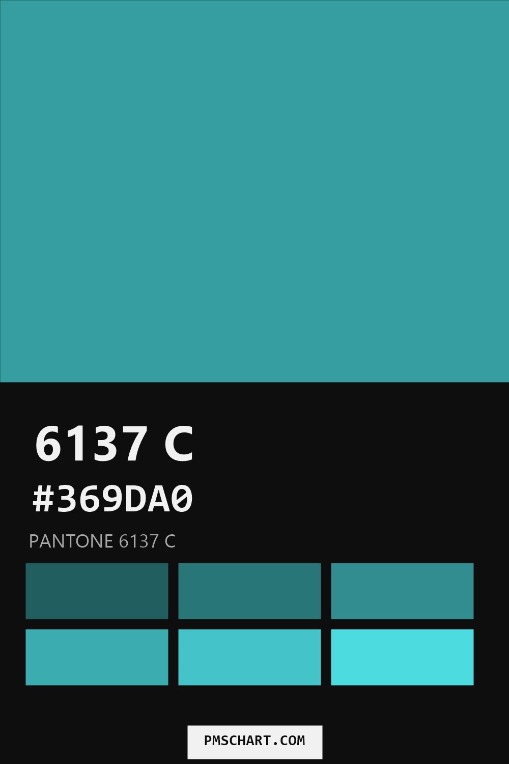 Pantone 6137 C color reference card (HEX #369DA0) with six nearest Pantone matches