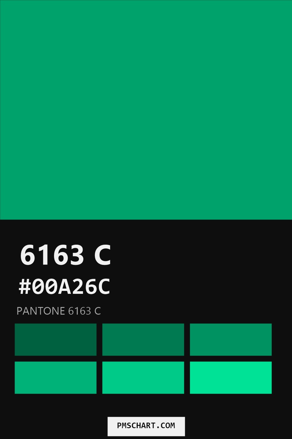 Pantone 6163 C color reference card (HEX #00A26C) with six nearest Pantone matches