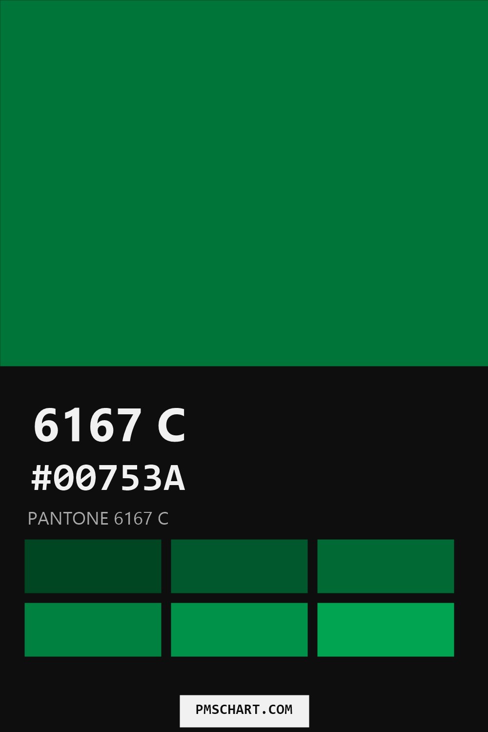 Pantone 6167 C color reference card (HEX #00753A) with six nearest Pantone matches