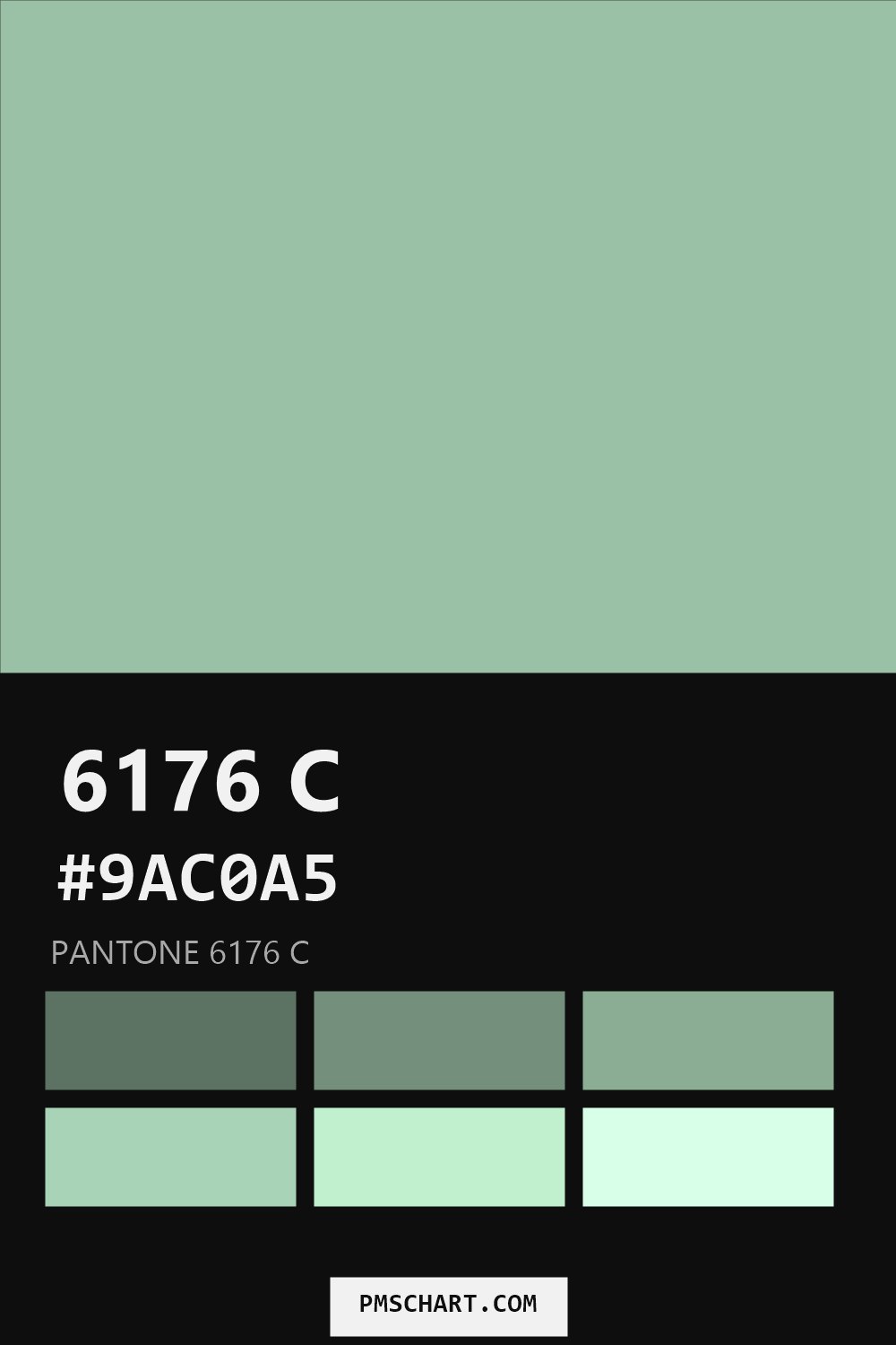 Pantone 6176 C color reference card (HEX #9AC0A5) with six nearest Pantone matches
