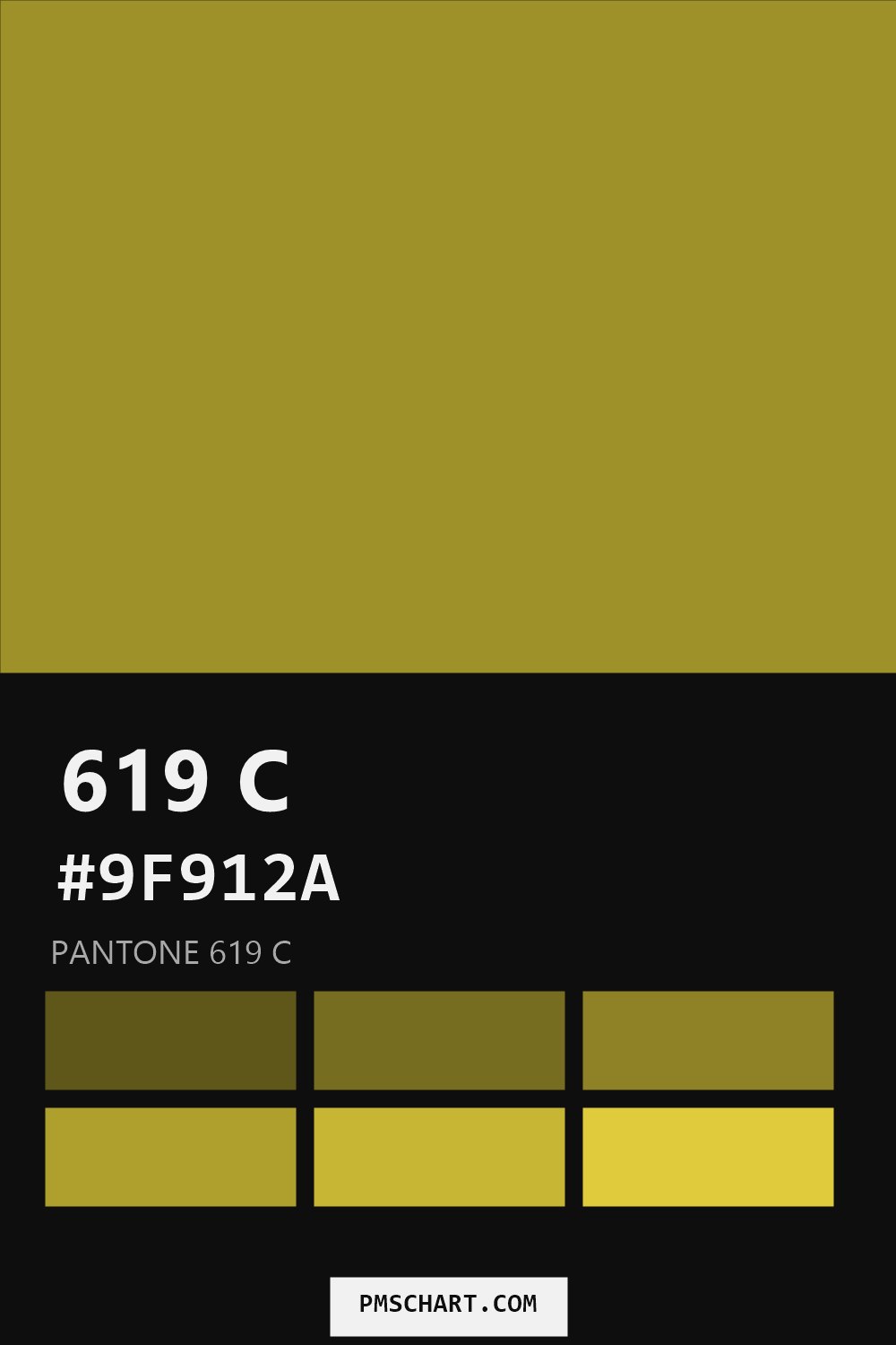 Pantone 619 C color reference card (HEX #9F912A) with six nearest Pantone matches