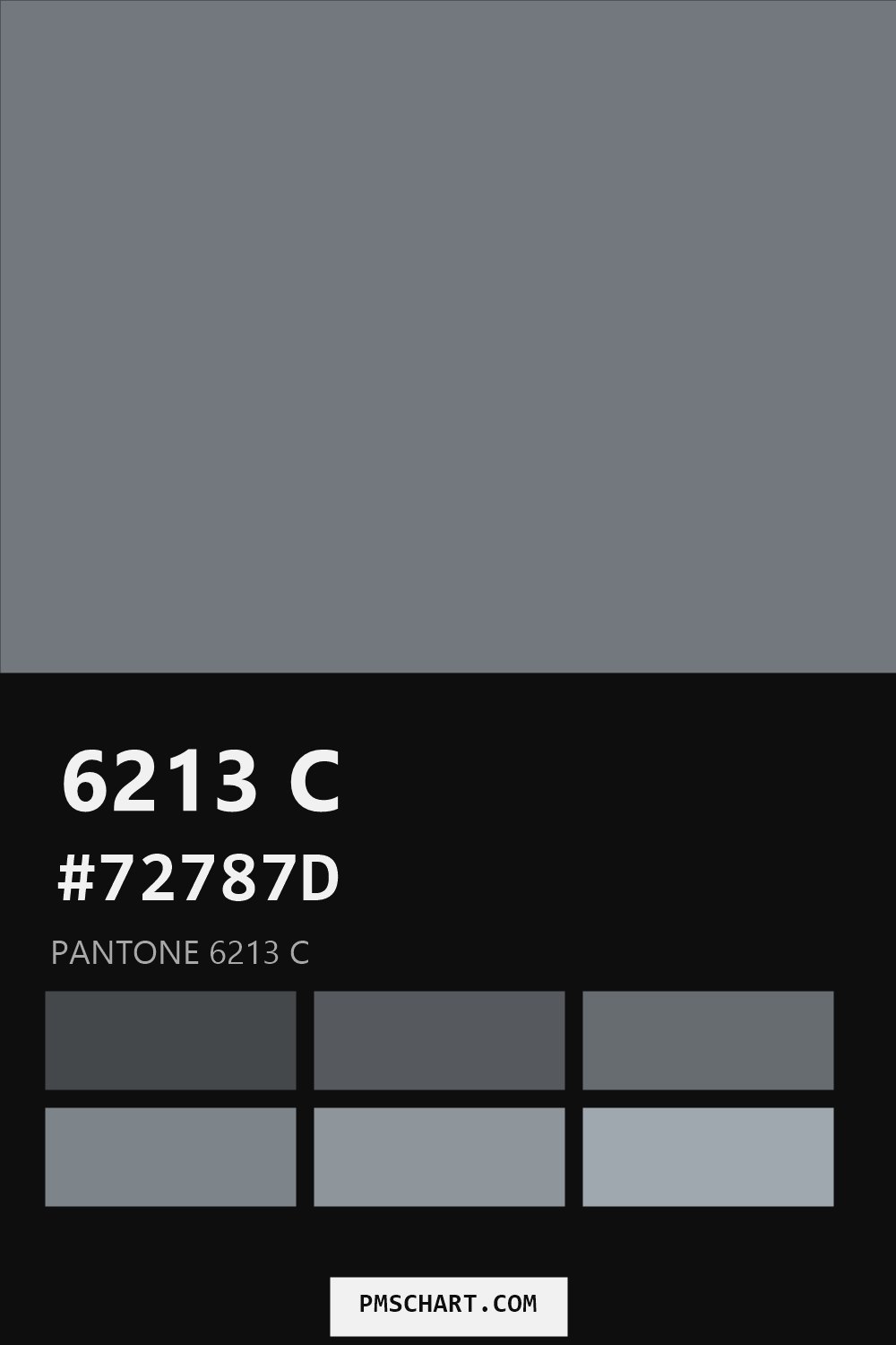 Pantone 6213 C color reference card (HEX #72787D) with six nearest Pantone matches