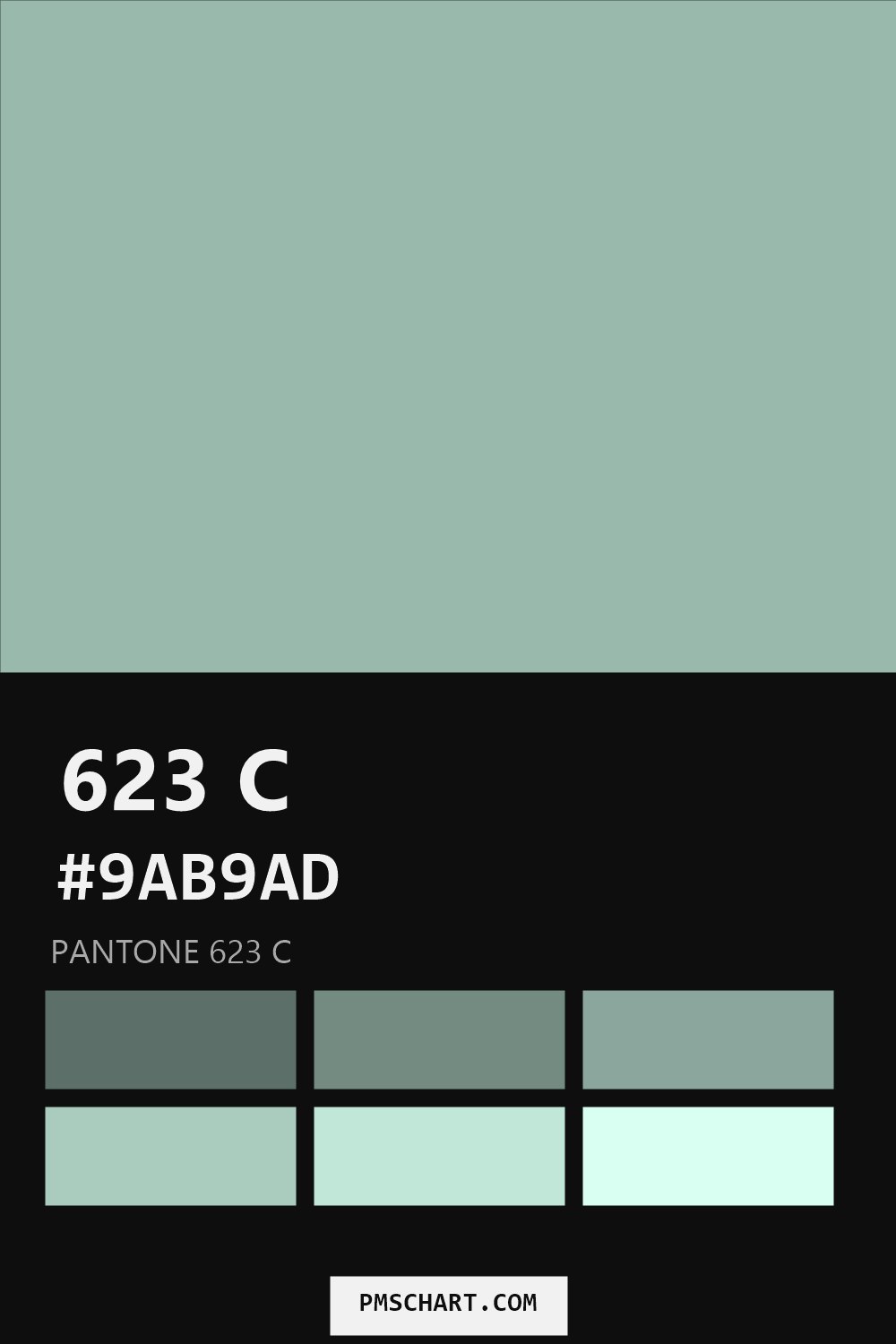 Pantone 623 C color reference card (HEX #9AB9AD) with six nearest Pantone matches