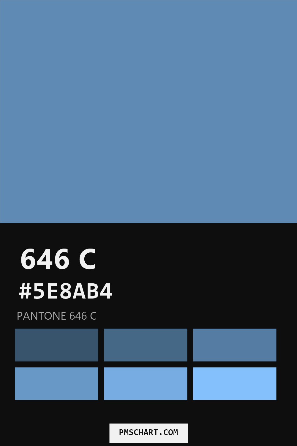 Pantone 646 C color reference card (HEX #5E8AB4) with six nearest Pantone matches