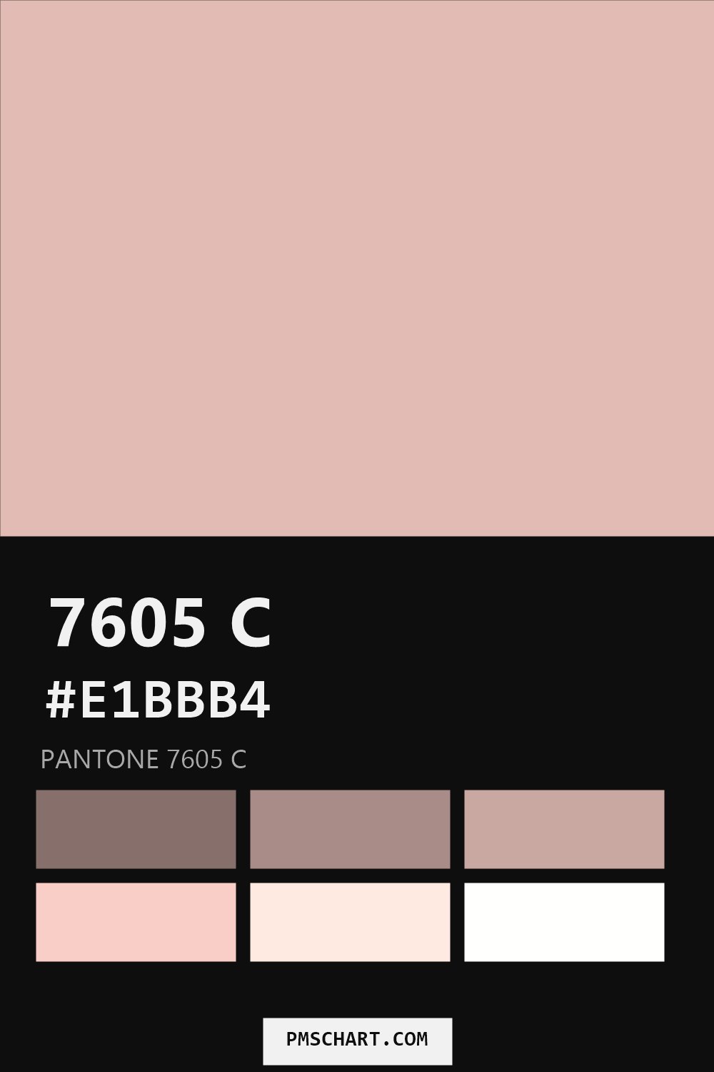Pantone 7605 C color reference card (HEX #E1BBB4) with six nearest Pantone matches