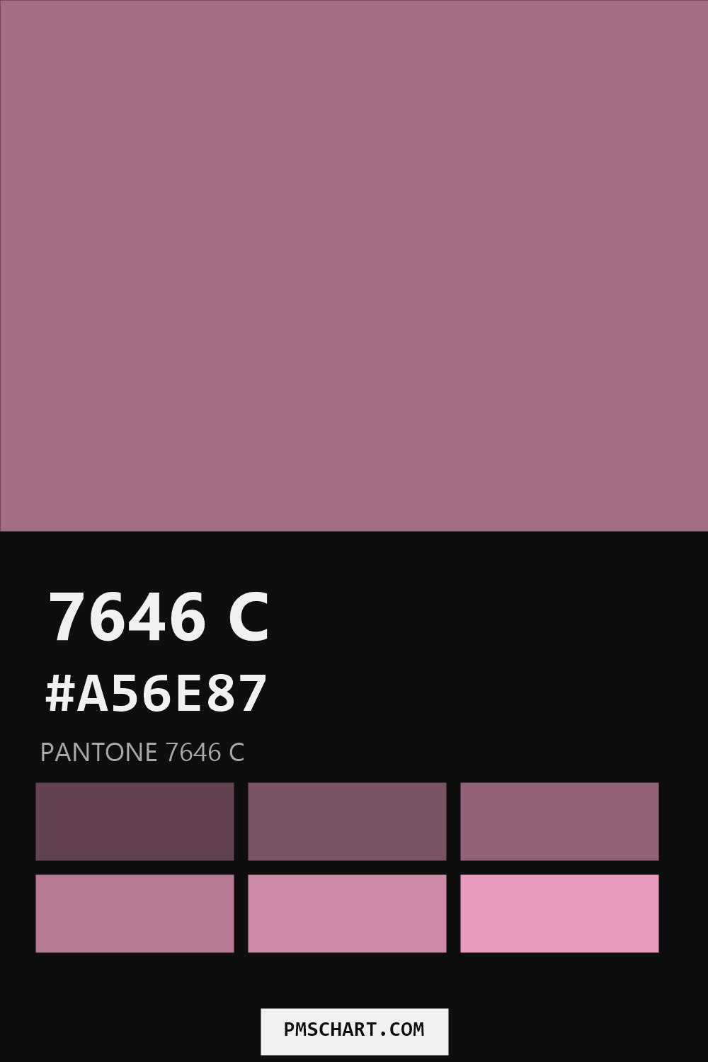 Pantone 7646 C color reference card (HEX #A56E87) with six nearest Pantone matches