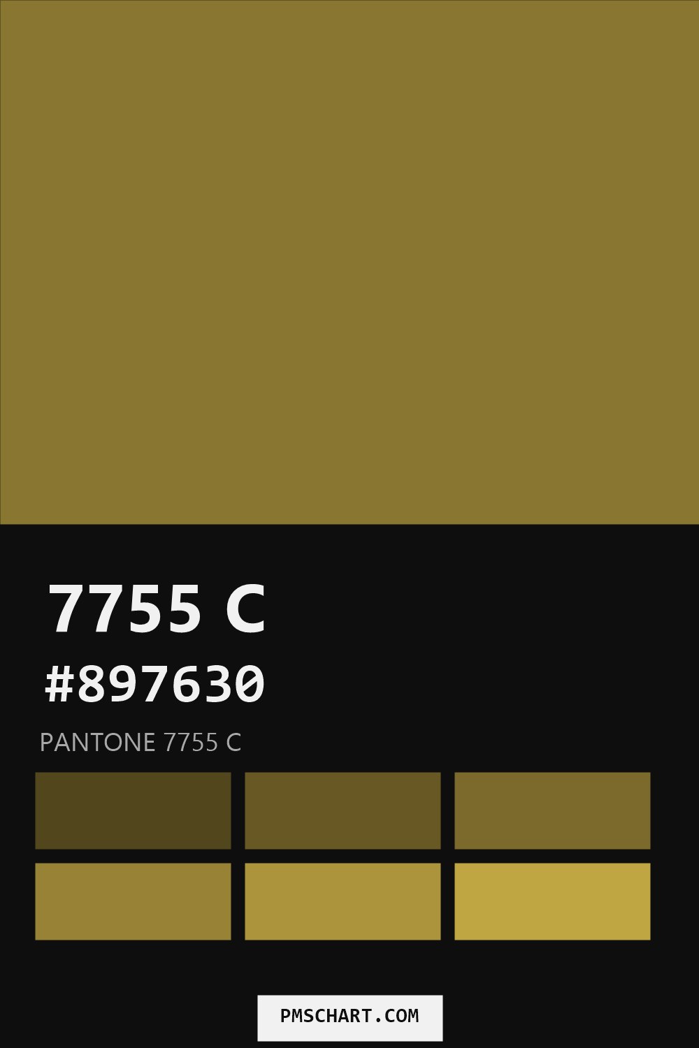 Pantone 7755 C color reference card (HEX #897630) with six nearest Pantone matches