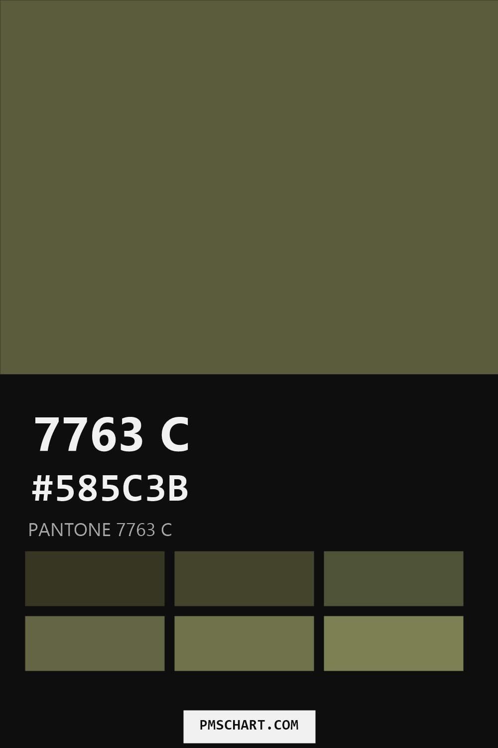 Pantone 7763 C color reference card (HEX #585C3B) with six nearest Pantone matches