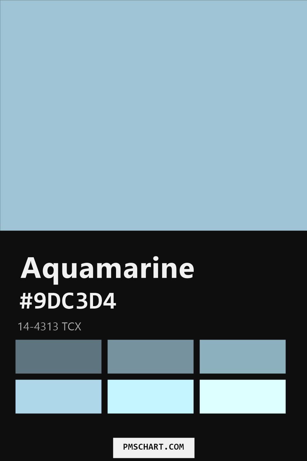 Pantone Aquamarine 14-4313 TCX color reference card (HEX #9DC3D4) with six nearest Pantone matches