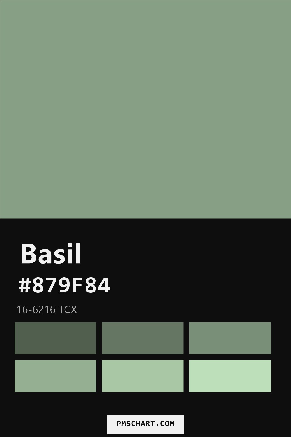 Pantone Basil 16-6216 TCX color reference card (HEX #879F84) with six nearest Pantone matches