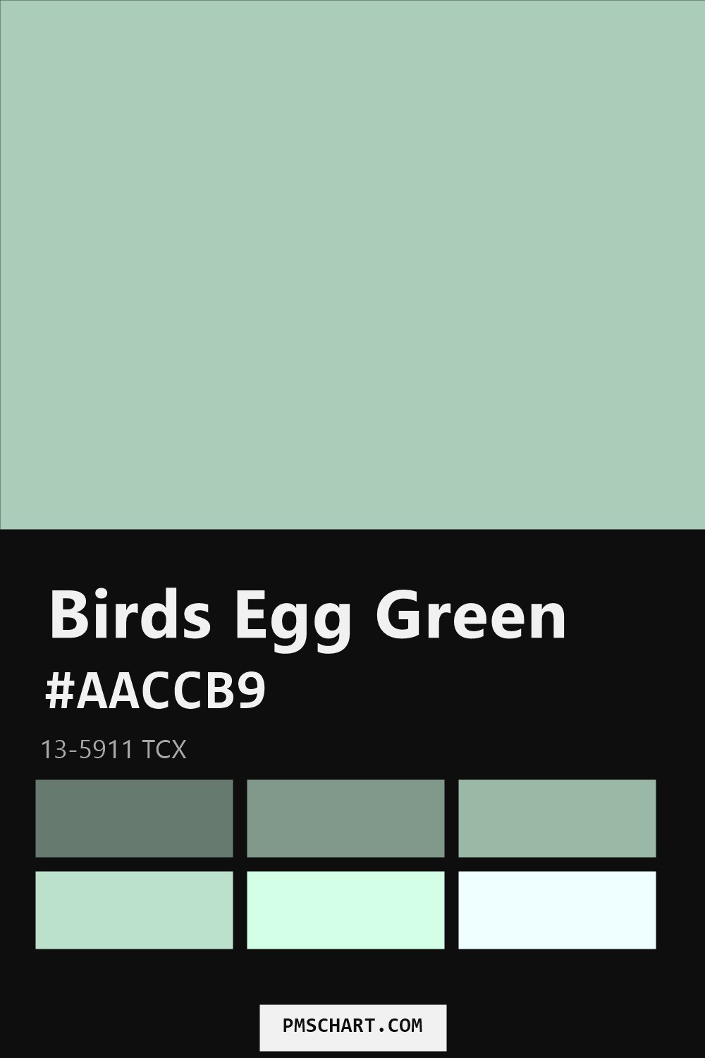 Pantone Birds Egg Green 13-5911 TCX color reference card (HEX #AACCB9) with six nearest Pantone matches