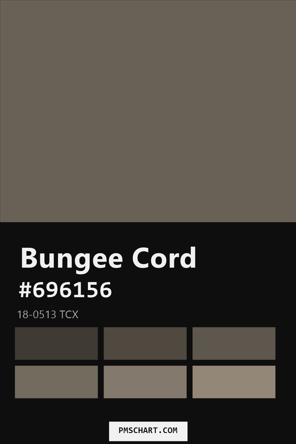 Pantone Bungee Cord 18-0513 TCX color reference card (HEX #696156) with six nearest Pantone matches