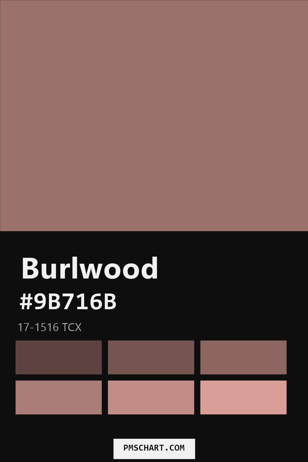 Pantone Burlwood 17-1516 TCX color reference card (HEX #9B716B) with six nearest Pantone matches