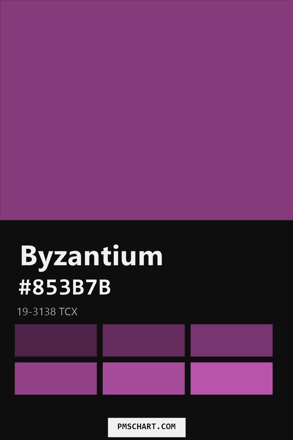 Pantone Byzantium 19-3138 TCX color reference card (HEX #853B7B) with six nearest Pantone matches