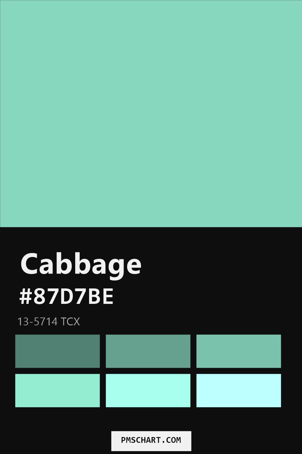 Pantone Cabbage 13-5714 TCX color reference card (HEX #87D7BE) with six nearest Pantone matches