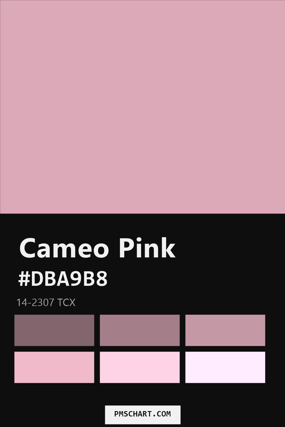 Pantone Cameo Pink 14-2307 TCX color reference card (HEX #DBA9B8) with six nearest Pantone matches