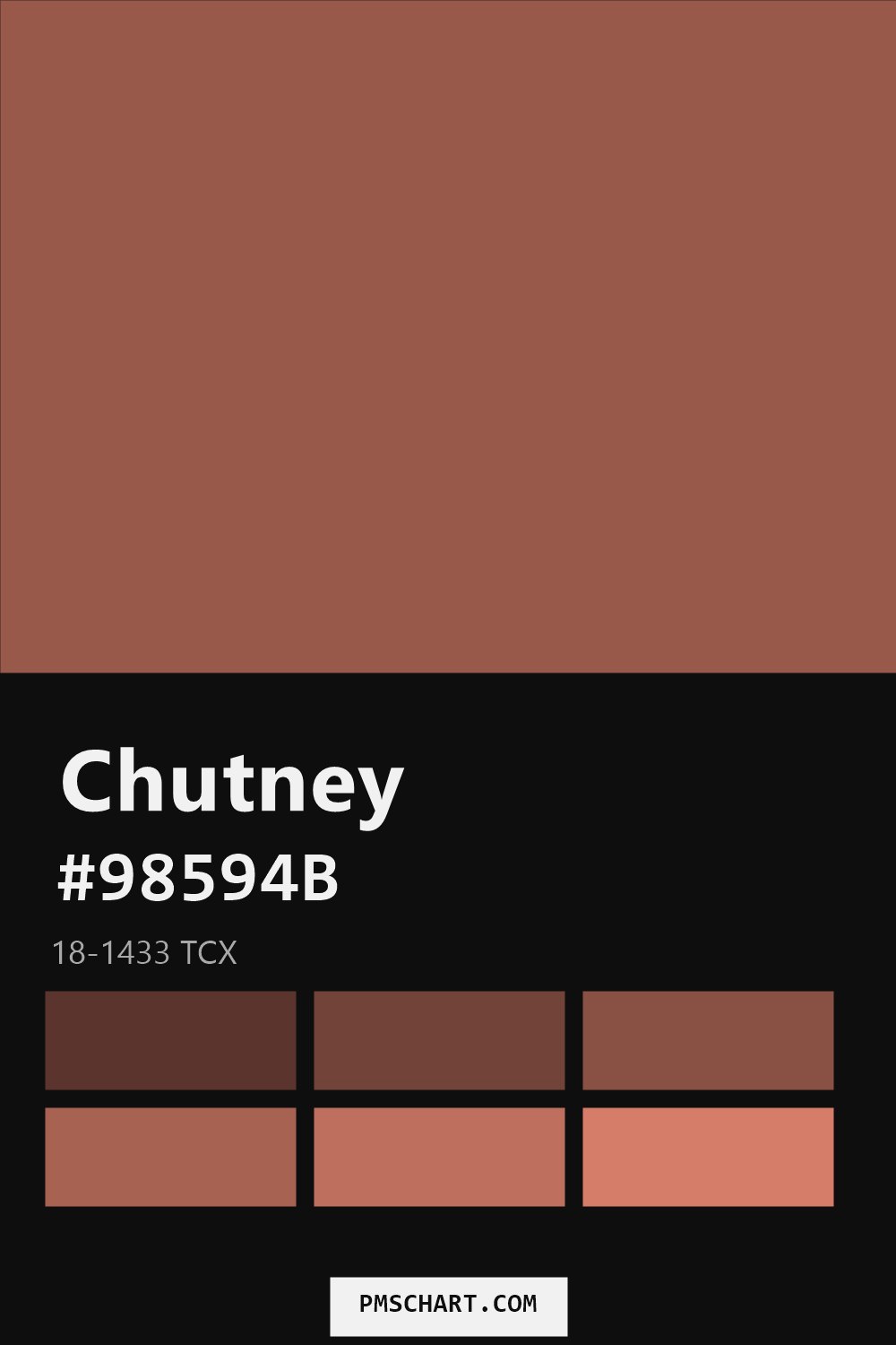 Pantone Chutney 18-1433 TCX color reference card (HEX #98594B) with six nearest Pantone matches