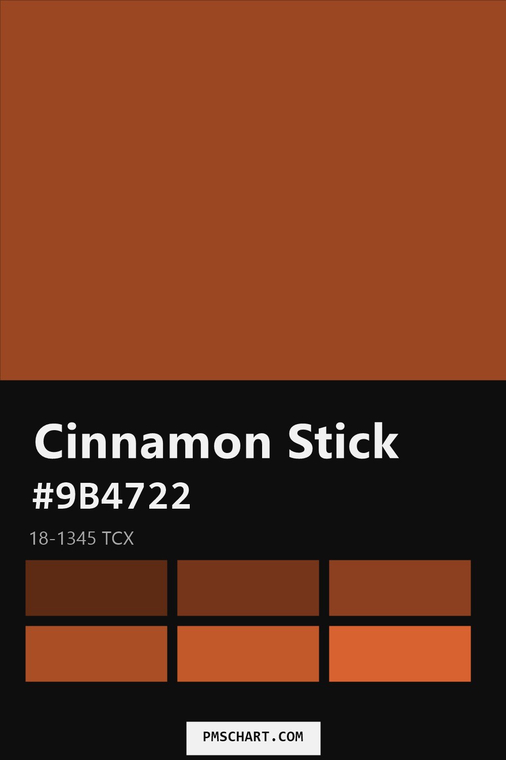 Pantone Cinnamon Stick 18-1345 TCX color reference card (HEX #9B4722) with six nearest Pantone matches