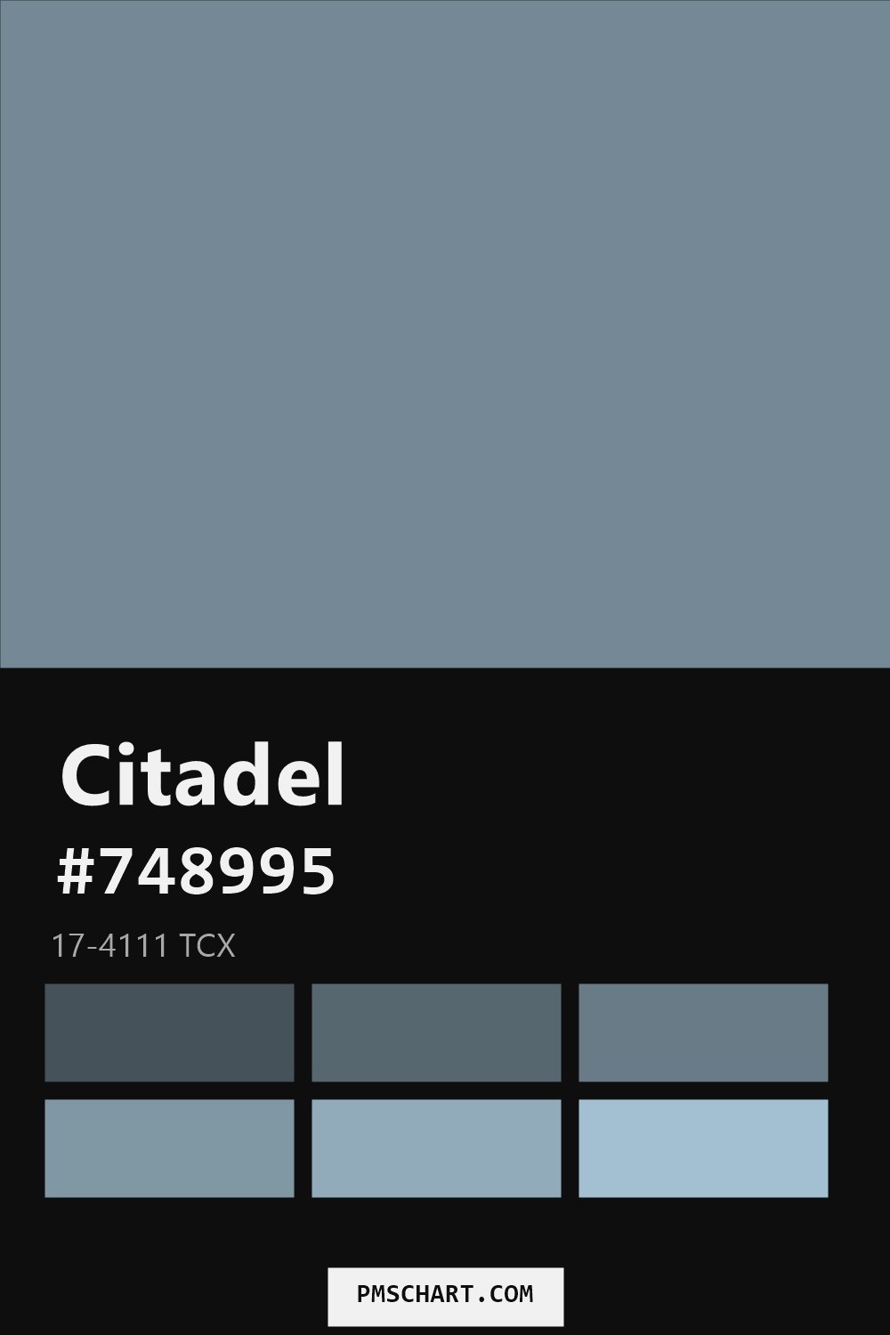 Pantone Citadel 17-4111 TCX color reference card (HEX #748995) with six nearest Pantone matches