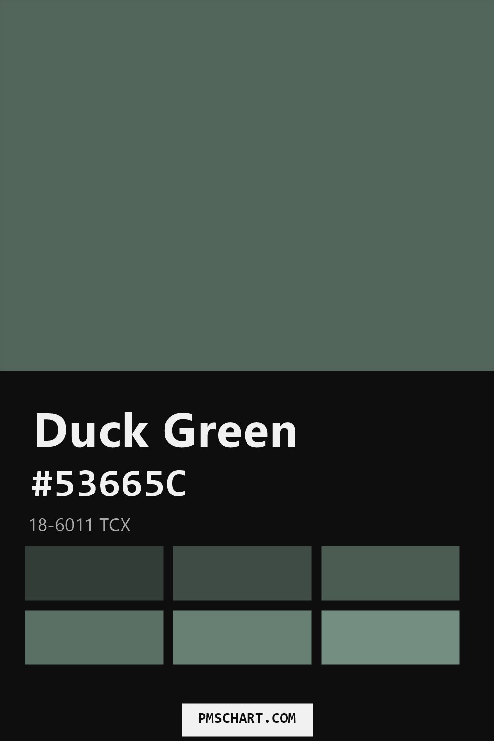 Pantone Duck Green 18-6011 TCX color reference card (HEX #53665C) with six nearest Pantone matches