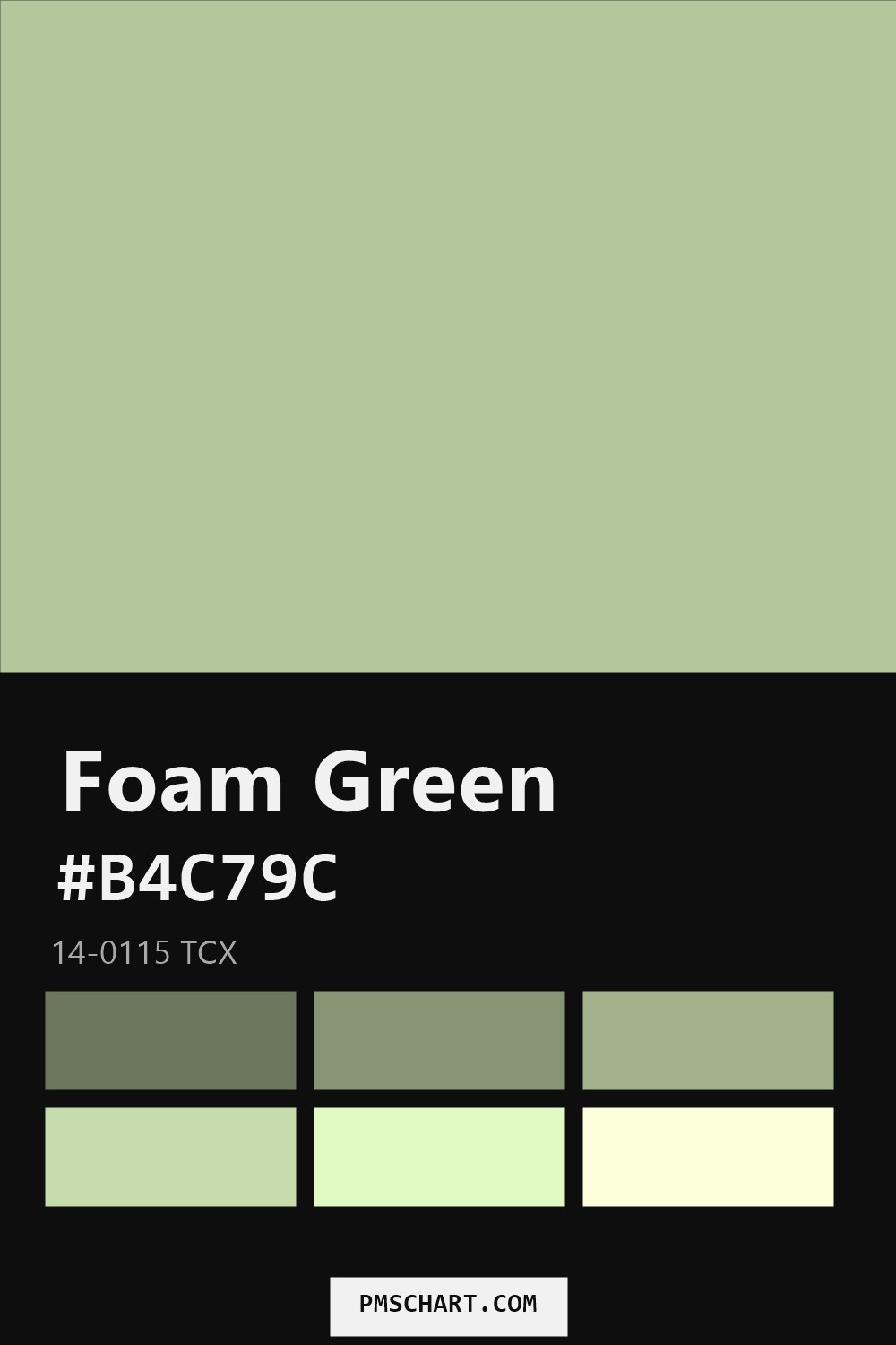Pantone Foam Green 14-0115 TCX color reference card (HEX #B4C79C) with six nearest Pantone matches
