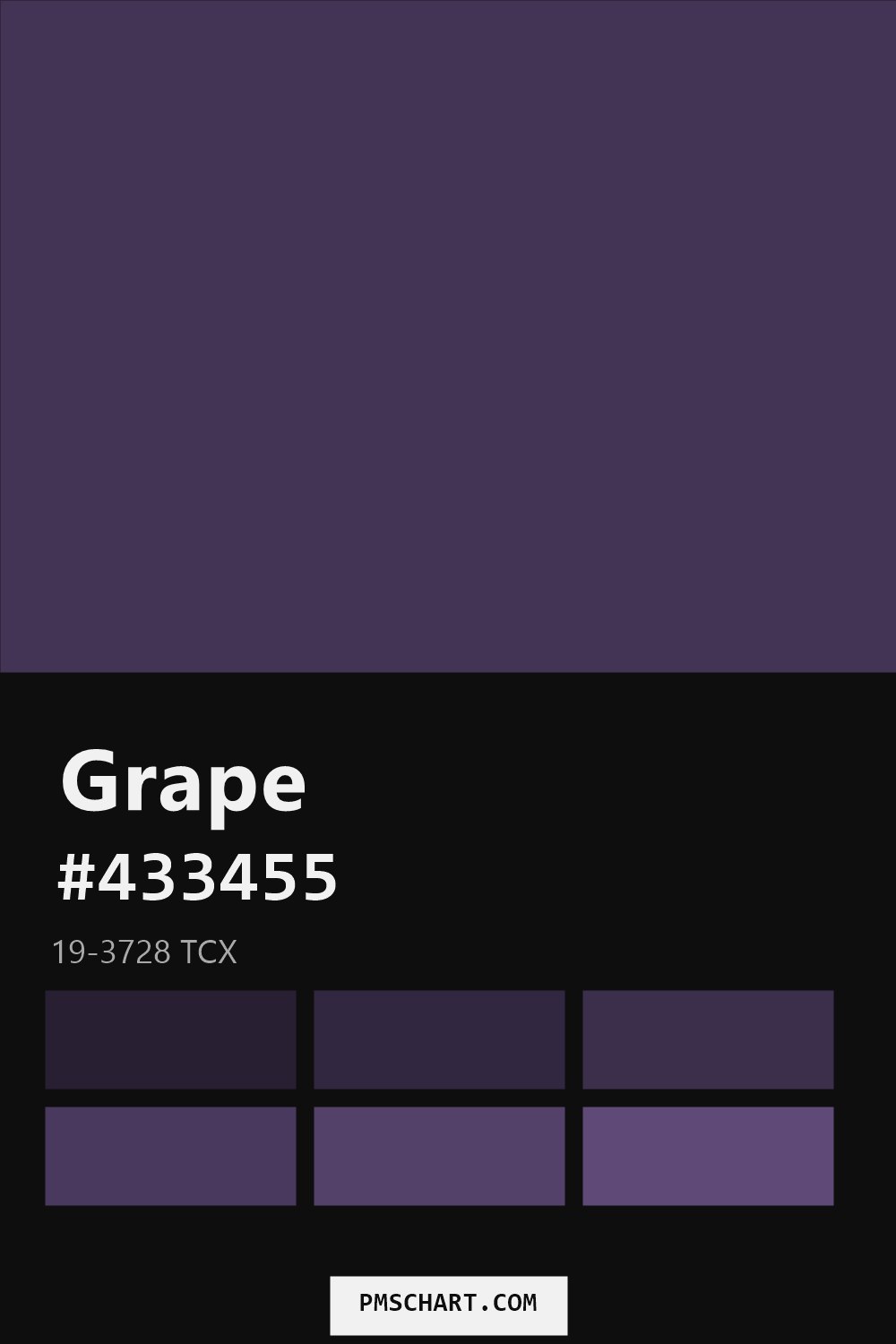 Pantone Grape 19-3728 TCX color reference card (HEX #433455) with six nearest Pantone matches