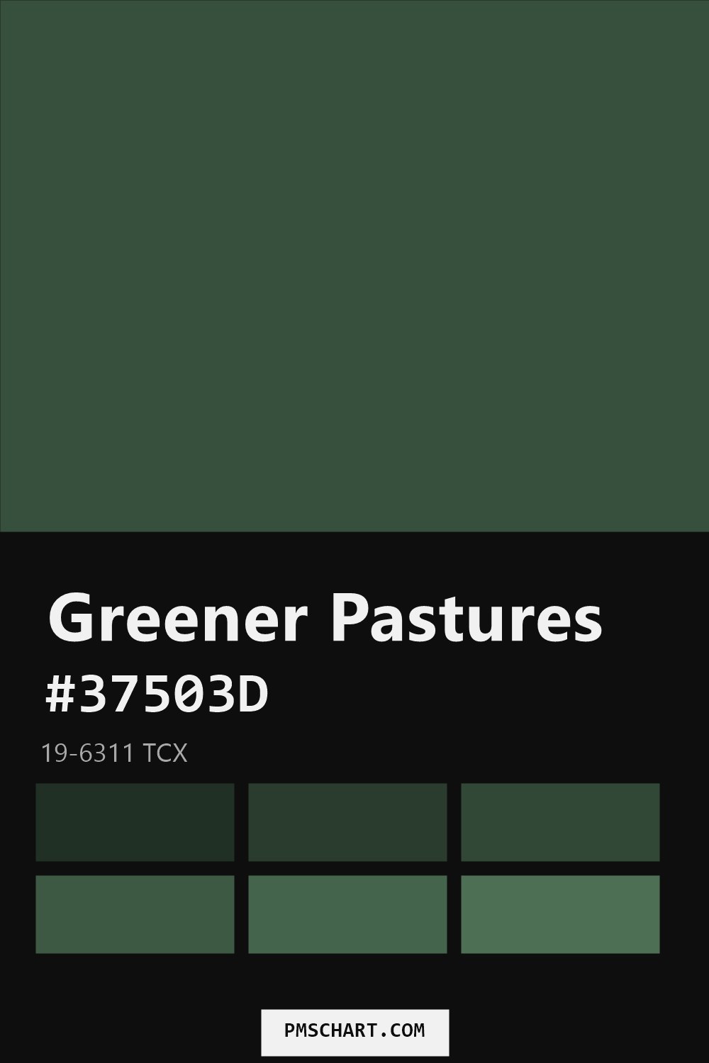 Pantone Greener Pastures 19-6311 TCX color reference card (HEX #37503D) with six nearest Pantone matches