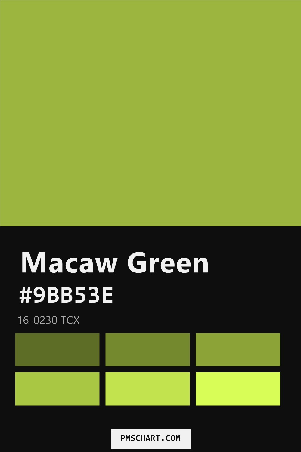 Pantone Macaw Green 16-0230 TCX color reference card (HEX #9BB53E) with six nearest Pantone matches
