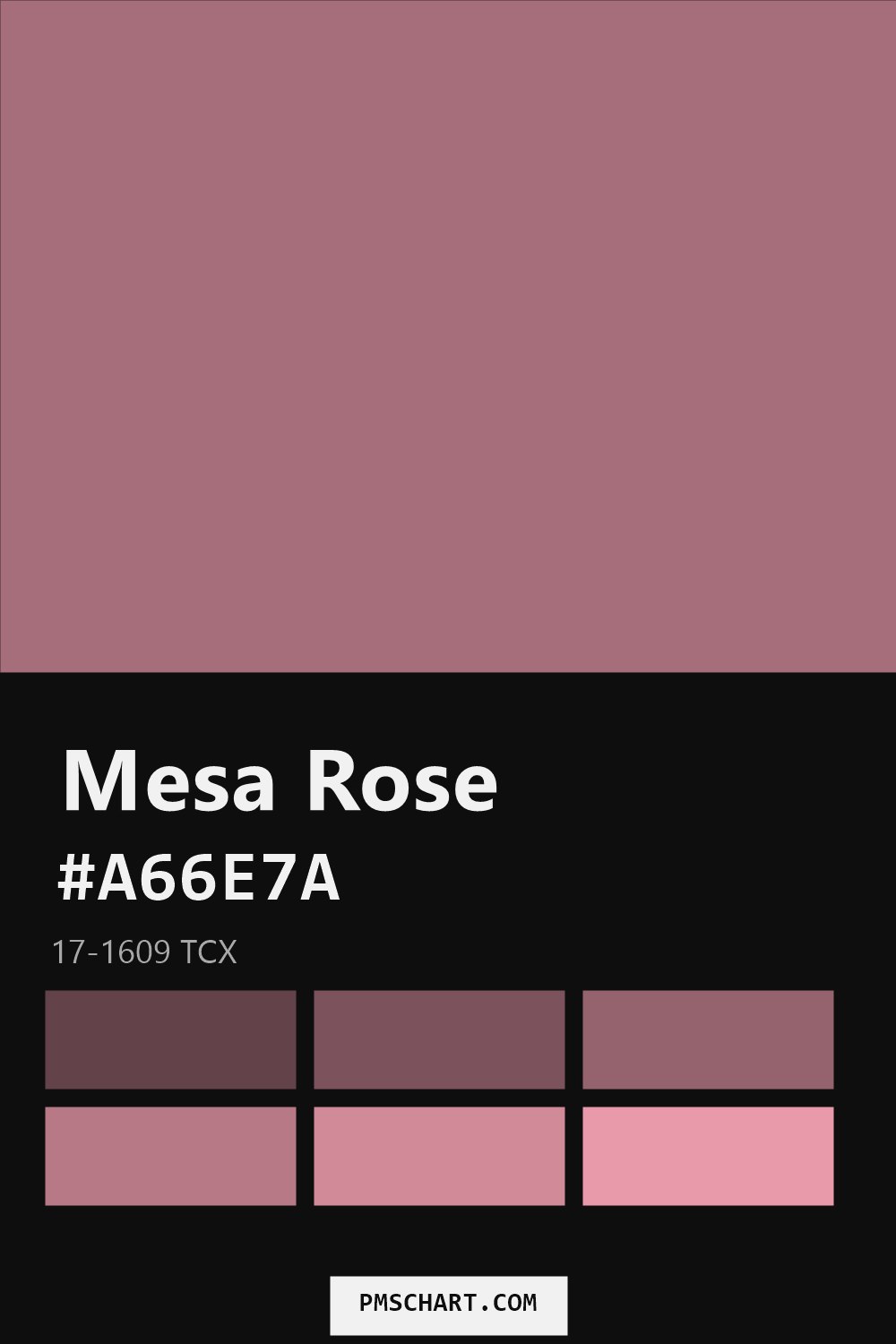 Pantone Mesa Rose 17-1609 TCX color reference card (HEX #A66E7A) with six nearest Pantone matches