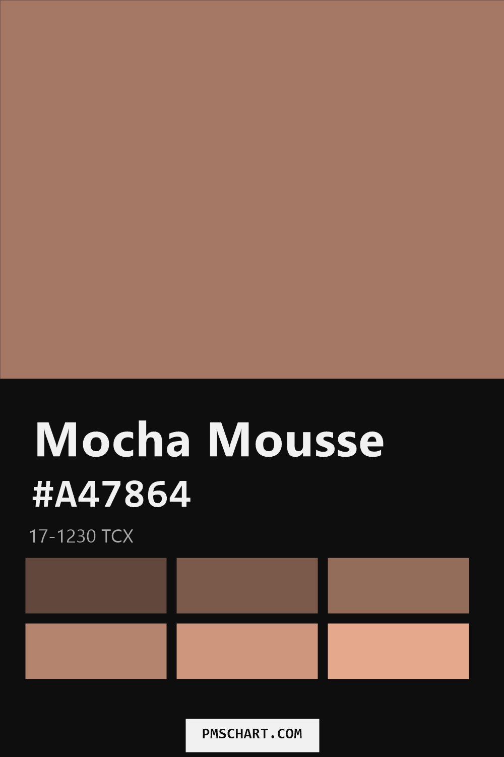 Pantone Mocha Mousse 17-1230 TCX color reference card (HEX #A47864) with six nearest Pantone matches