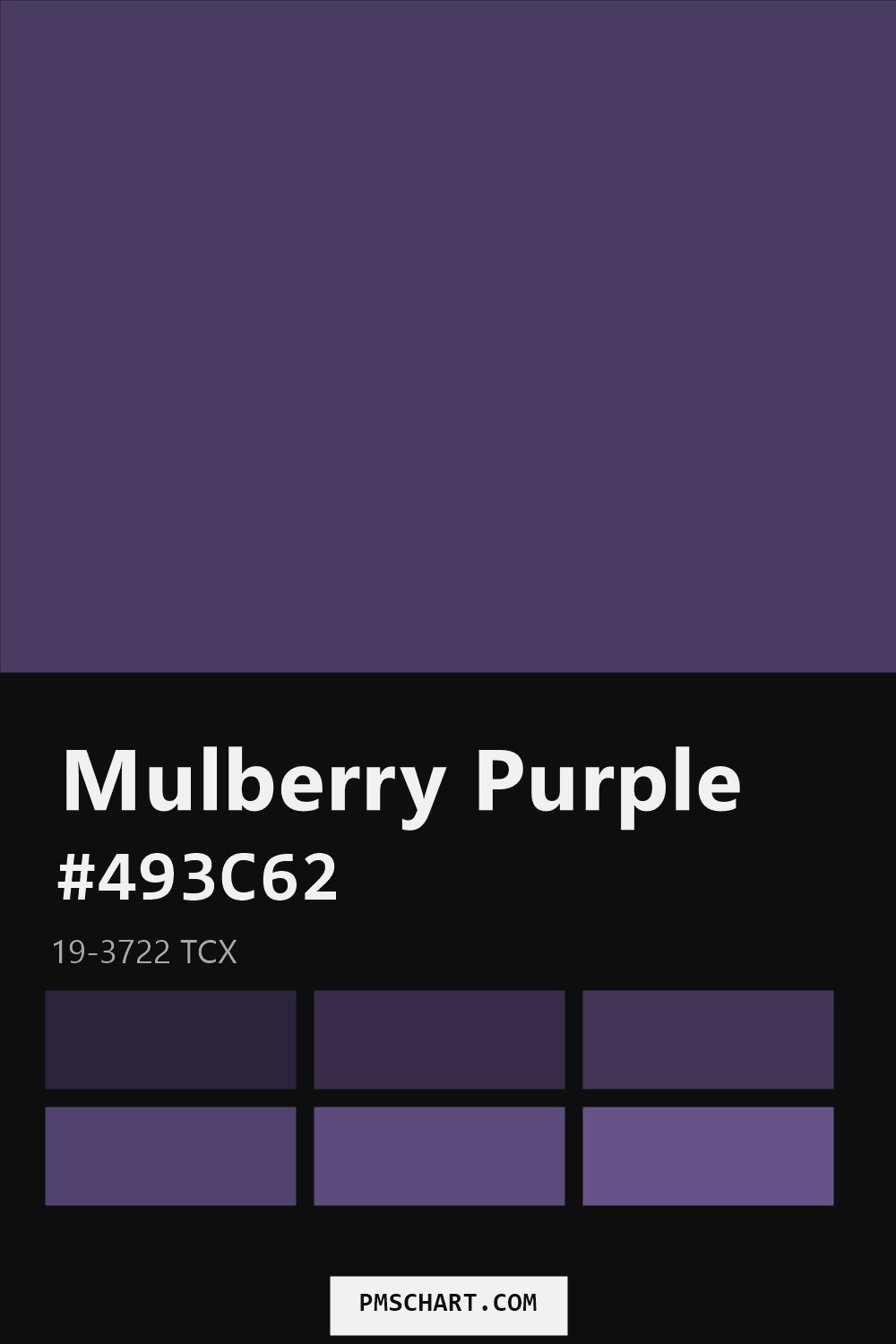 Pantone Mulberry Purple 19-3722 TCX color reference card (HEX #493C62) with six nearest Pantone matches