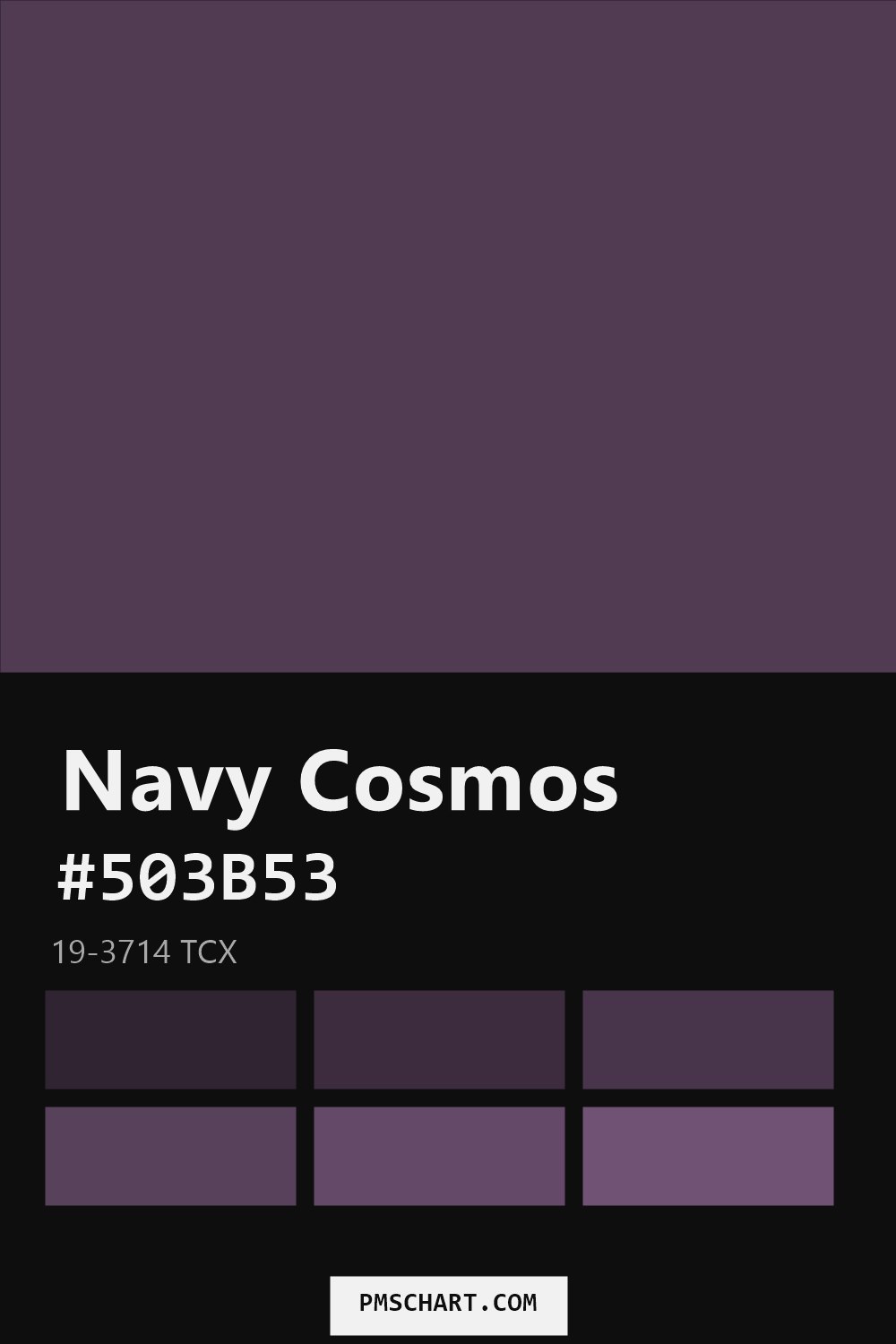 Pantone Navy Cosmos 19-3714 TCX color reference card (HEX #503B53) with six nearest Pantone matches