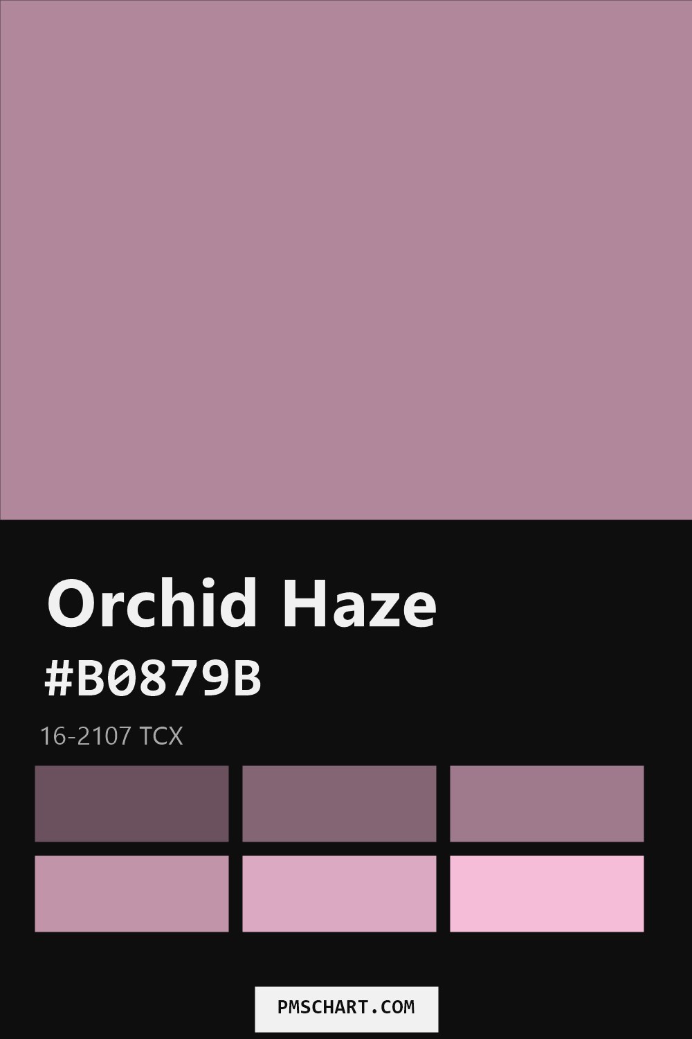 Pantone Orchid Haze 16-2107 TCX color reference card (HEX #B0879B) with six nearest Pantone matches