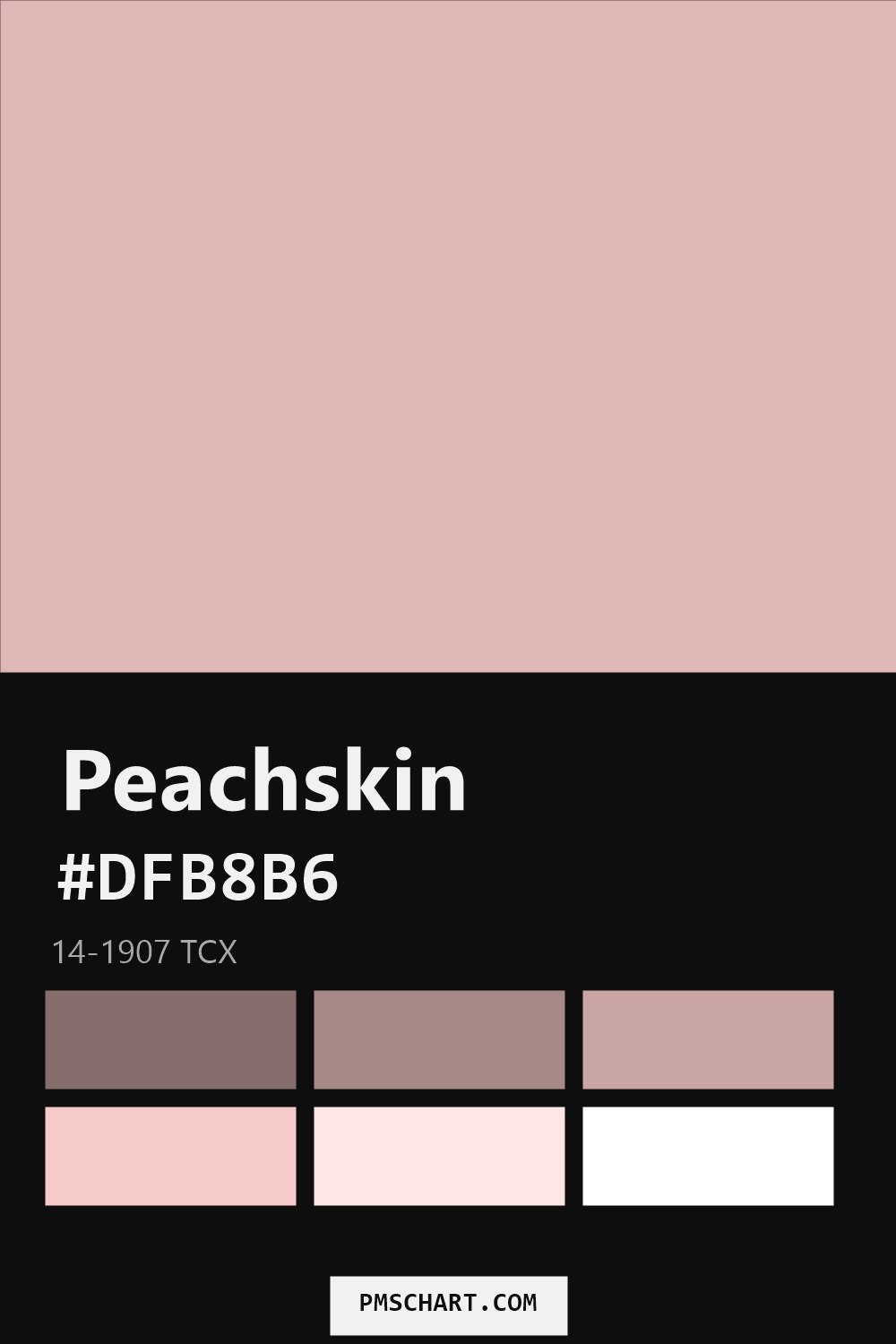 Pantone Peachskin 14-1907 TCX color reference card (HEX #DFB8B6) with six nearest Pantone matches