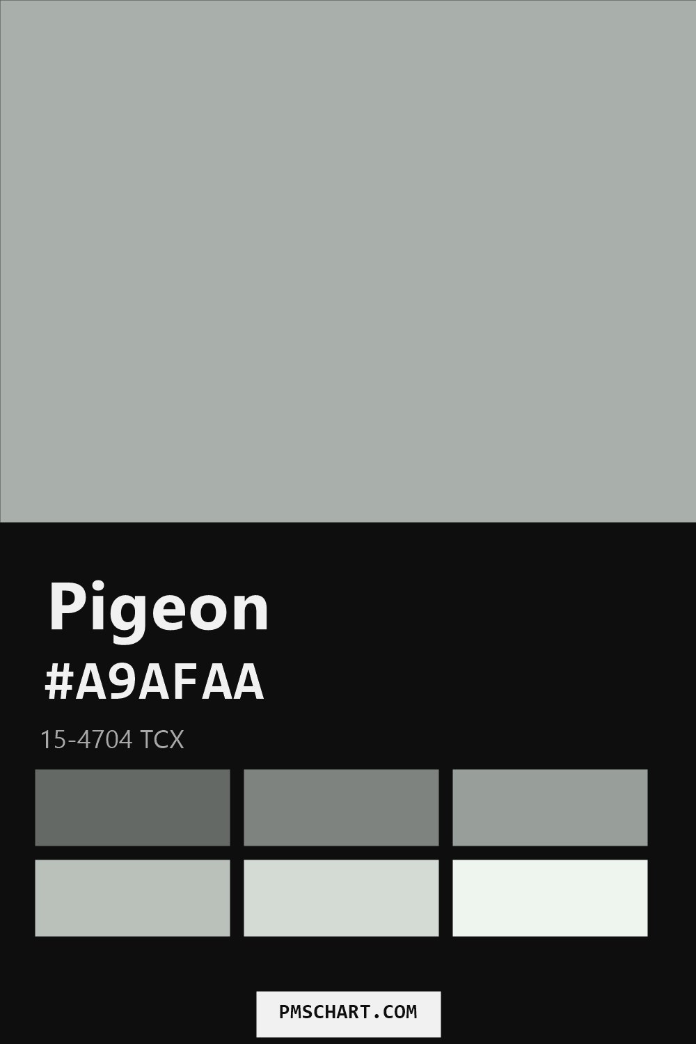 Pantone Pigeon 15-4704 TCX color reference card (HEX #A9AFAA) with six nearest Pantone matches