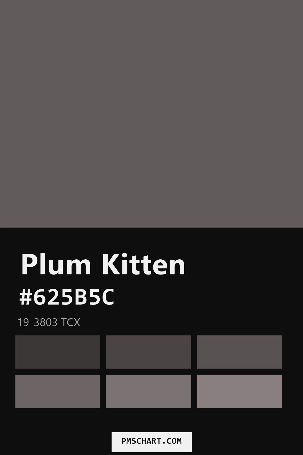 Pantone Plum Kitten 19-3803 TCX color reference card (HEX #625B5C) with six nearest Pantone matches
