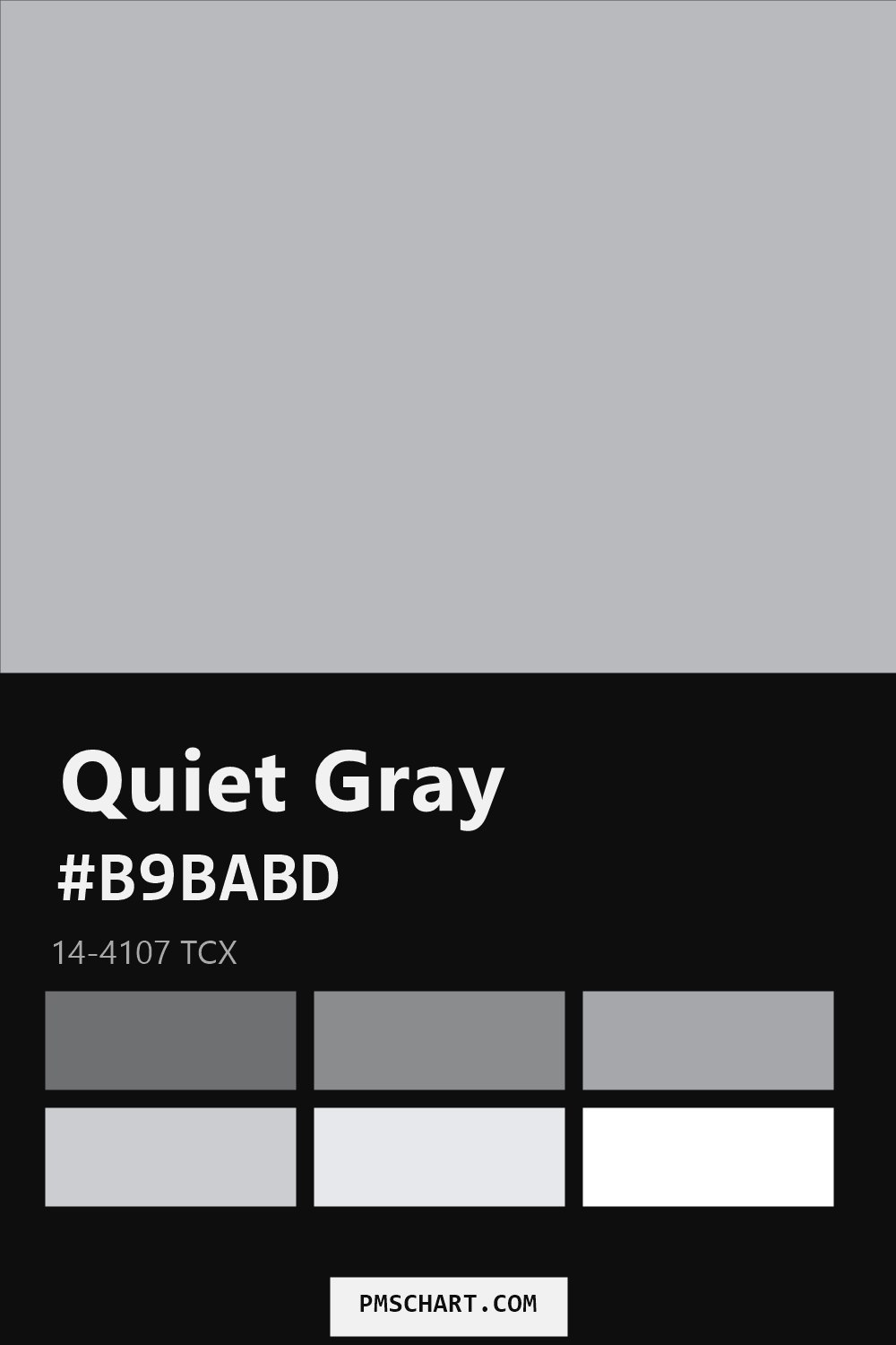 Pantone Quiet Gray 14-4107 TCX color reference card (HEX #B9BABD) with six nearest Pantone matches