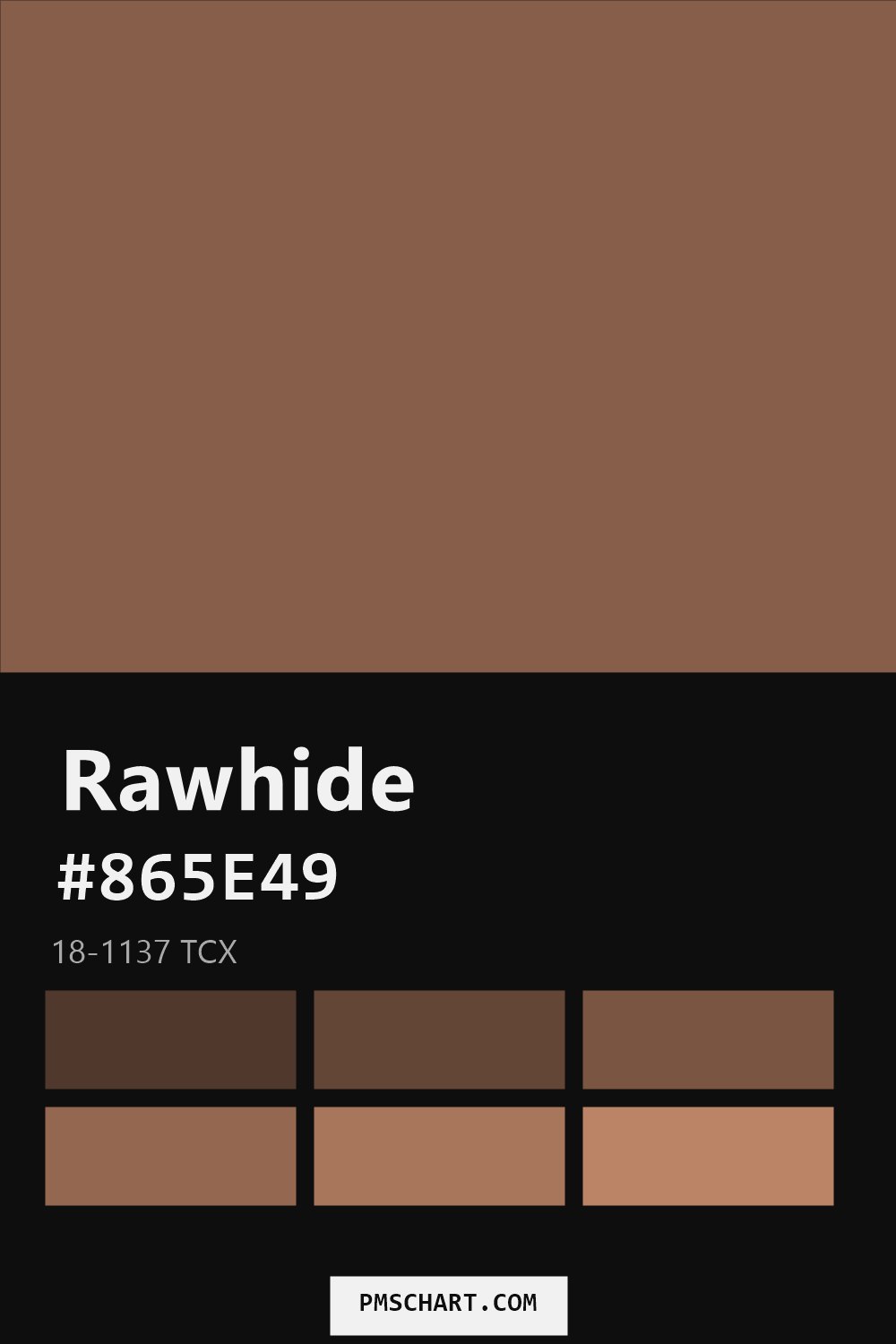 Pantone Rawhide 18-1137 TCX color reference card (HEX #865E49) with six nearest Pantone matches
