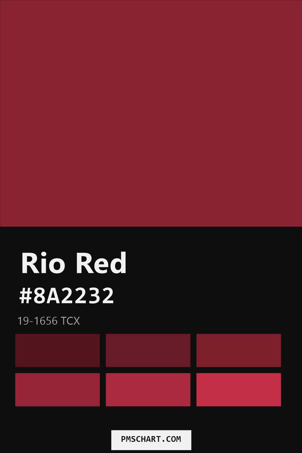 Pantone Rio Red 19-1656 TCX color reference card (HEX #8A2232) with six nearest Pantone matches
