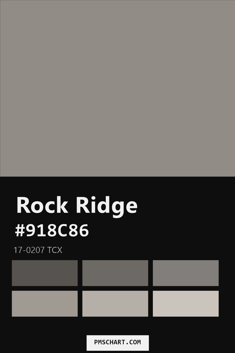 Pantone Rock Ridge 17-0207 TCX color reference card (HEX #918C86) with six nearest Pantone matches