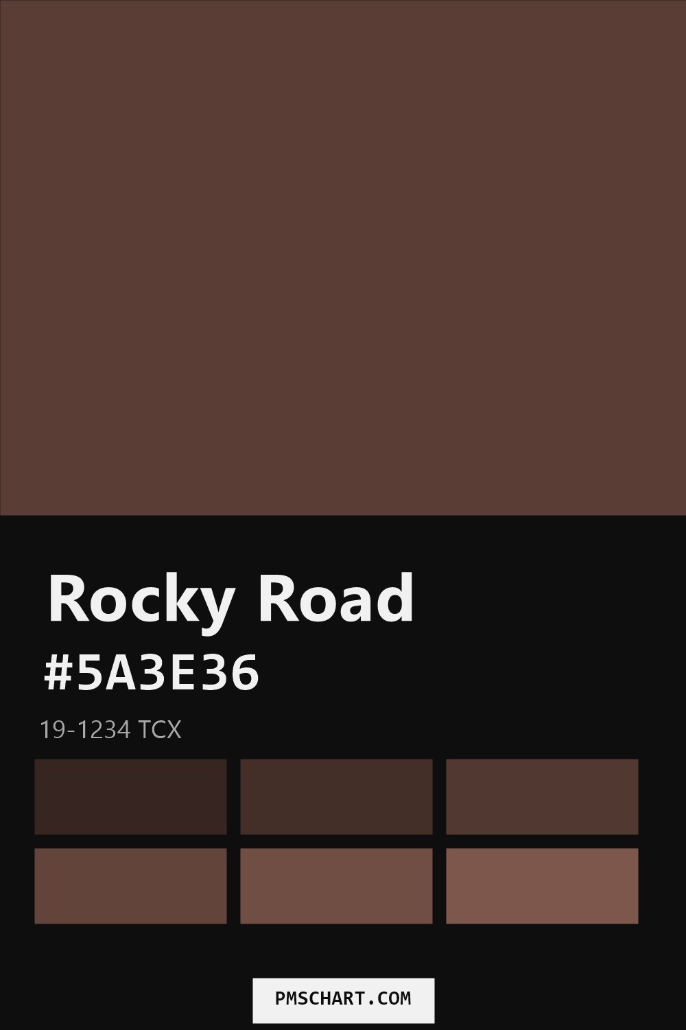Pantone Rocky Road 19-1234 TCX color reference card (HEX #5A3E36) with six nearest Pantone matches