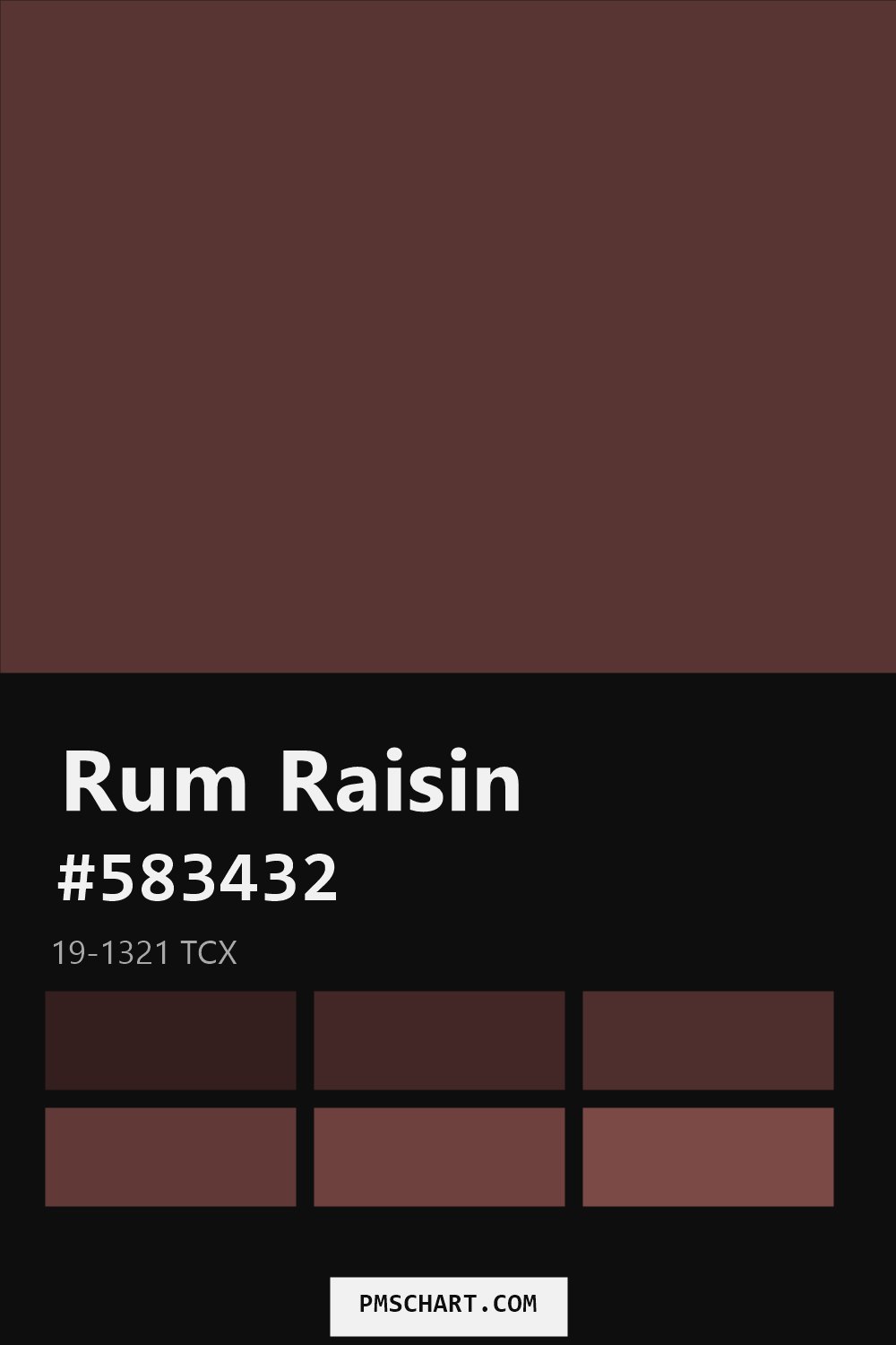 Pantone Rum Raisin 19-1321 TCX color reference card (HEX #583432) with six nearest Pantone matches