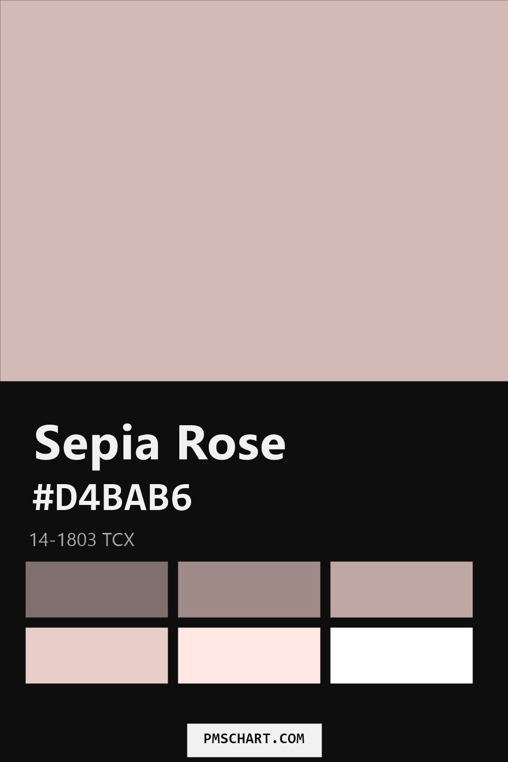 Pantone Sepia Rose 14-1803 TCX color reference card (HEX #D4BAB6) with six nearest Pantone matches