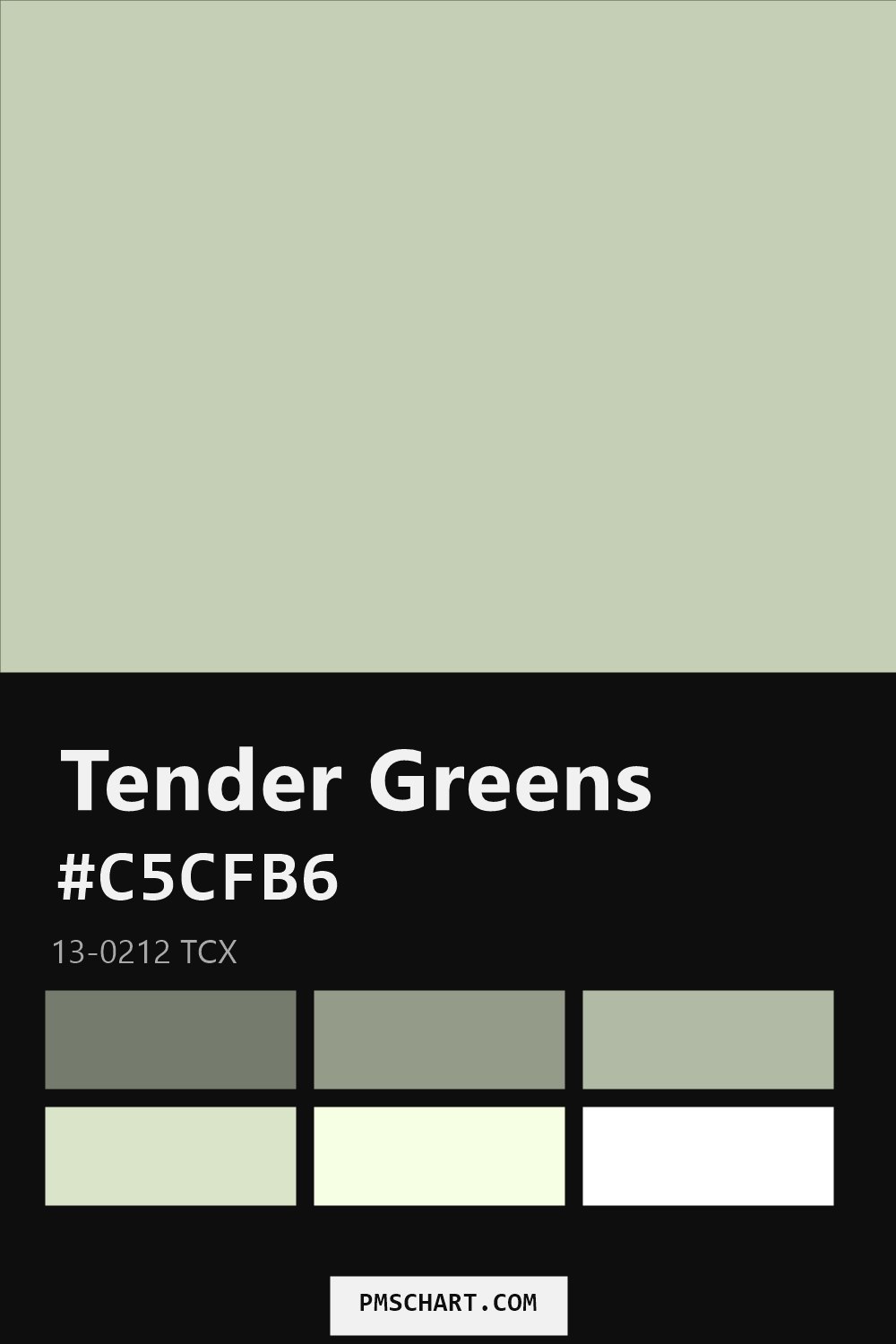 Pantone Tender Greens 13-0212 TCX color reference card (HEX #C5CFB6) with six nearest Pantone matches
