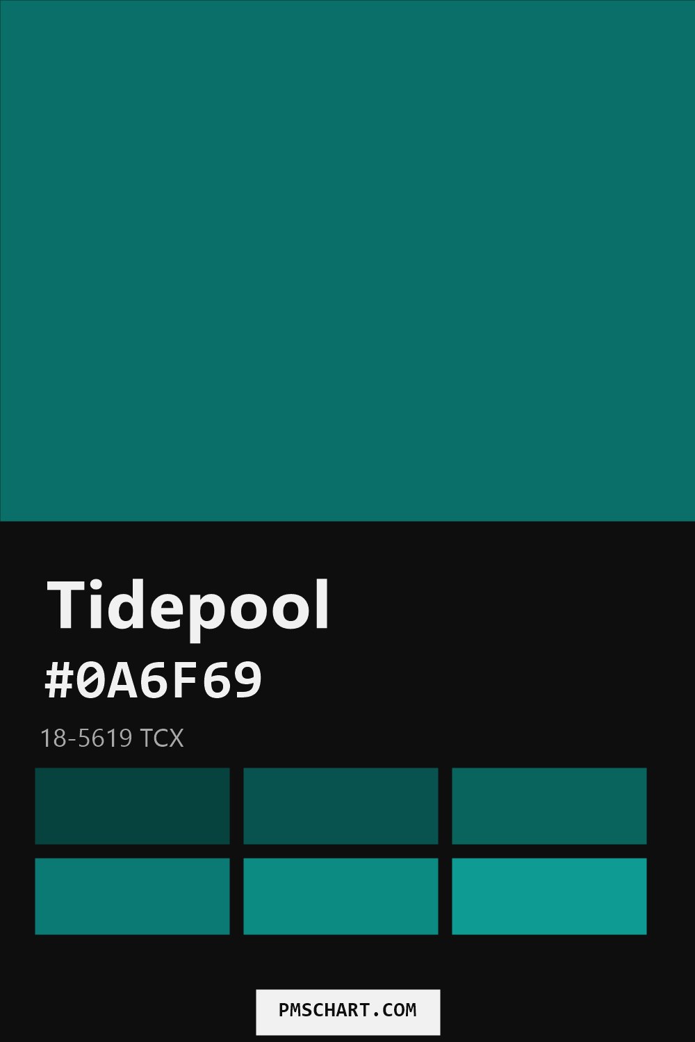 Pantone Tidepool 18-5619 TCX color reference card (HEX #0A6F69) with six nearest Pantone matches
