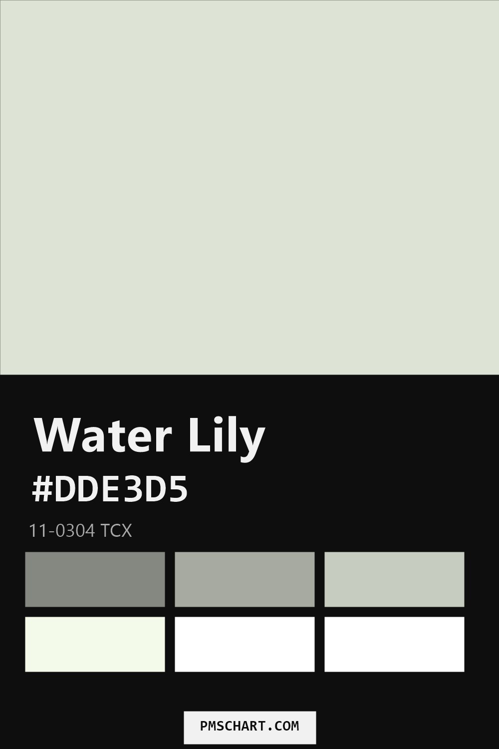 Pantone Water Lily 11-0304 TCX color reference card (HEX #DDE3D5) with six nearest Pantone matches