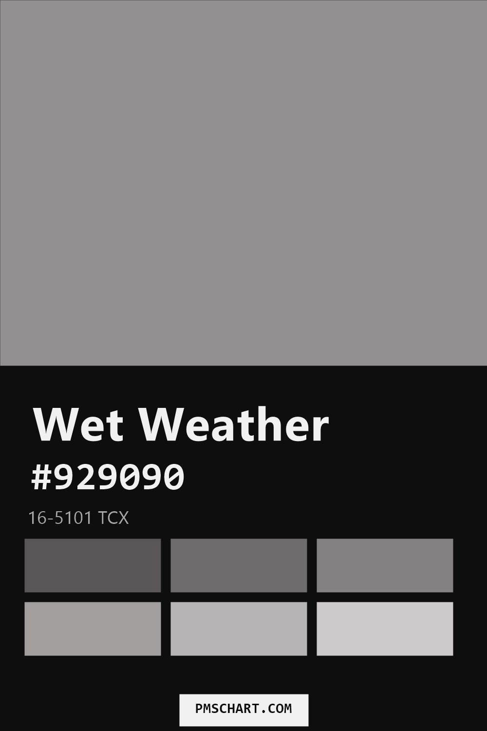 Pantone Wet Weather 16-5101 TCX color reference card (HEX #929090) with six nearest Pantone matches